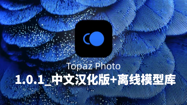 TopazPhoto-1.0.1_中文汉化版+离线模型库