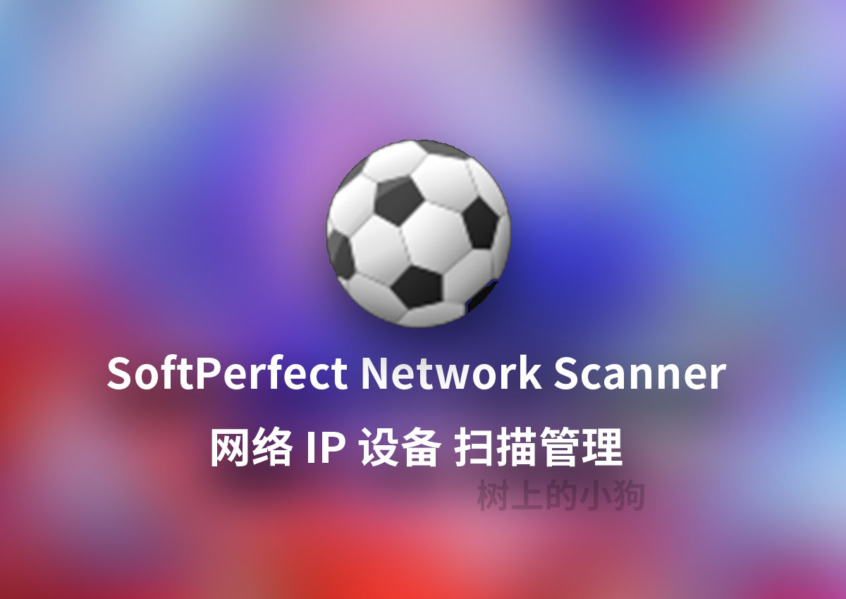 【PC/工具】网络 IP 设备 扫描管理 SoftPerfect Network Scanner v2025.9 中文 / 免安装
