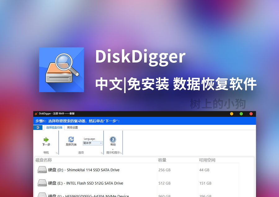 【PC/工具】数据恢复软件 DiskDigger v2.0.13.4139 中文|免安装