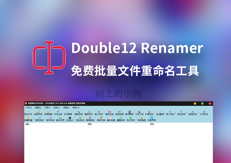 【PC/工具】批量文件重命名 Double12 Renamer v1.4.1 中文绿色版